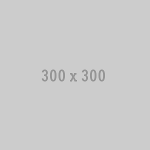 300x300